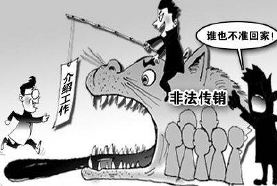 北派传销分布有多广泛危害多大你知道吗