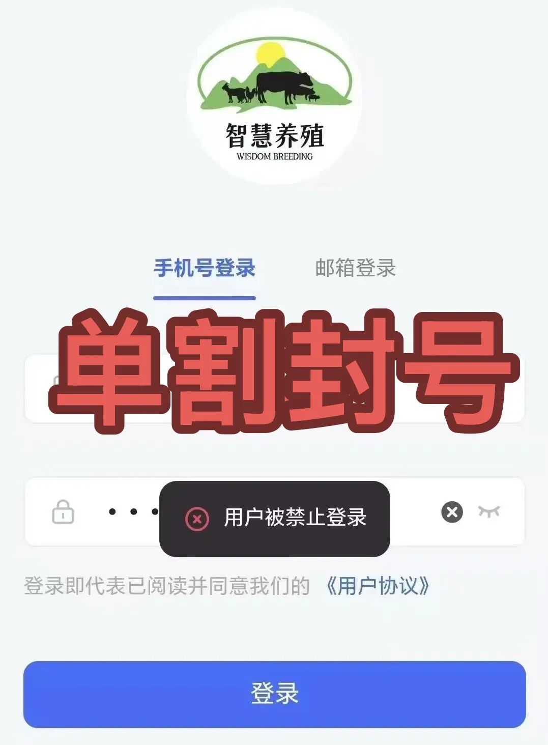 原文图片